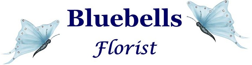 Bluebells florist